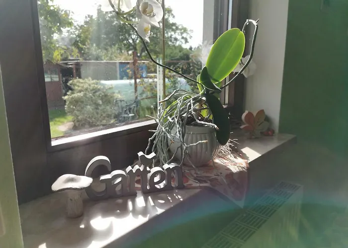 Nordlicht Apartament